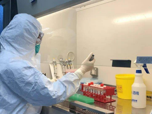 表面微生物、致病菌檢測
